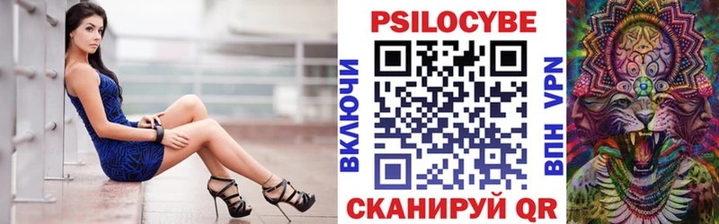 купить   Барыш  kraken зеркало  Галлюциногенные грибы Psilocybine cubensis 
